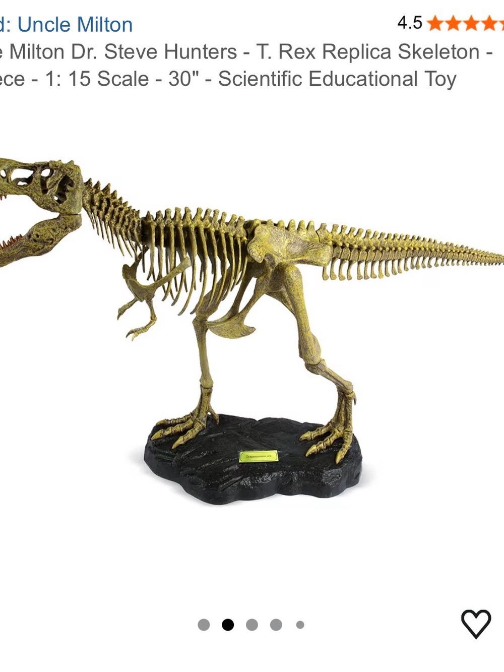 T. Rex Replica Skeleton - 21Piece - 1: 15 Scale - 30"